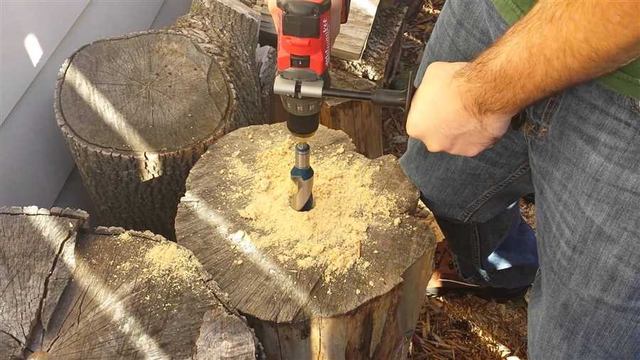 Understanding the importance of choosing the right drill bit for tree trunks
