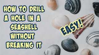 Rotary Drills: Versatile and Precise Drilling for Delicate Shells