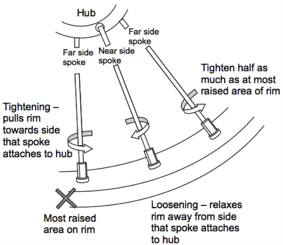 Why and When Should You Tighten Bike Spokes?