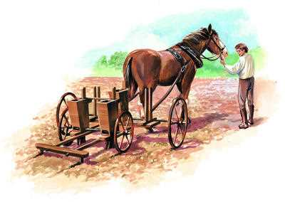 Development of the Seed Drill: Jethro Tull's Visionary Device